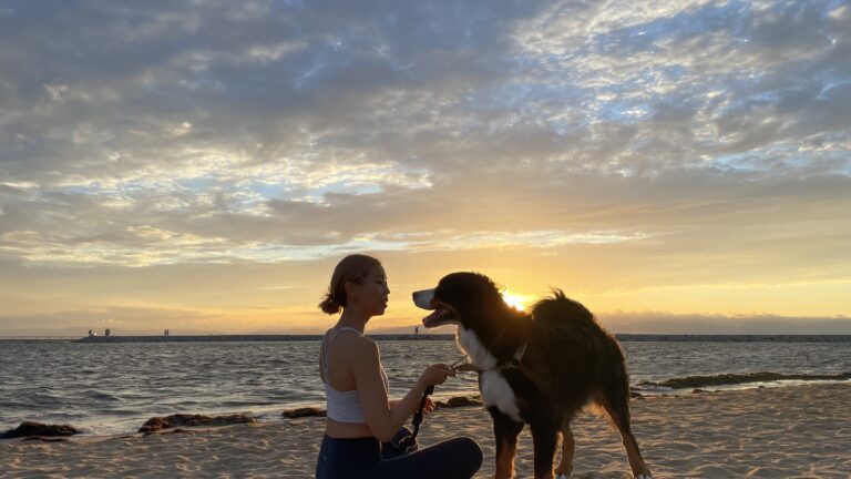 犬とビーチヨガ